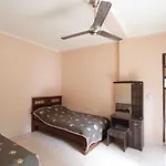 Citrus Tree - Arik Guest house *