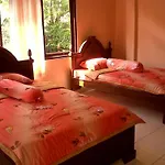 Guest house Citrus Tree - Arik *