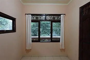 Citrus Tree - Arik 우붓