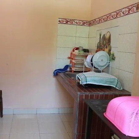 Citrus Tree - Arik 우붓