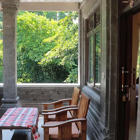 Citrus Tree - Arik * 우붓