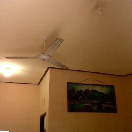 Citrus Tree - Arik 우붓