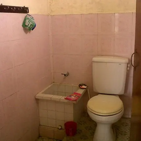 게스트하우스 Citrus Tree - Arik 우붓