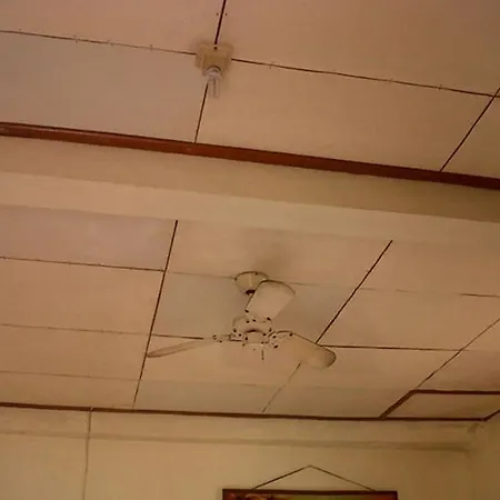 게스트하우스 Citrus Tree - Arik