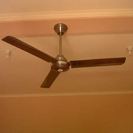 Citrus Tree - Arik 우붓