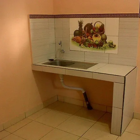 Citrus Tree - Arik 게스트하우스 *