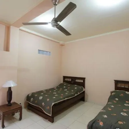 Citrus Tree - Arik Guest house *