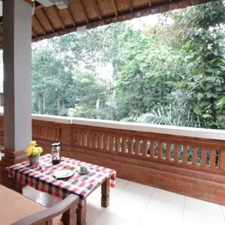 Citrus Tree - Arik Guest house