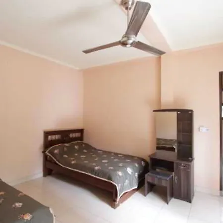 Citrus Tree - Arik Guest house *