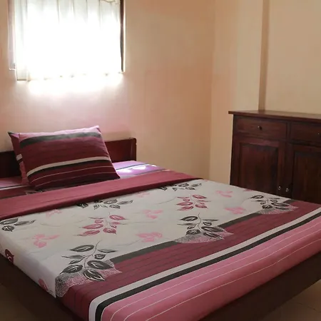 Guest house Citrus Tree - Arik *