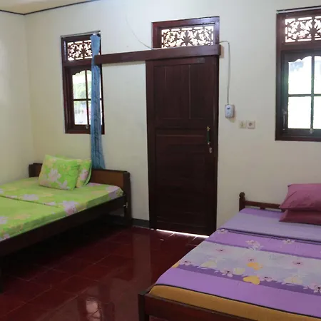 Citrus Tree - Arik Guest house *