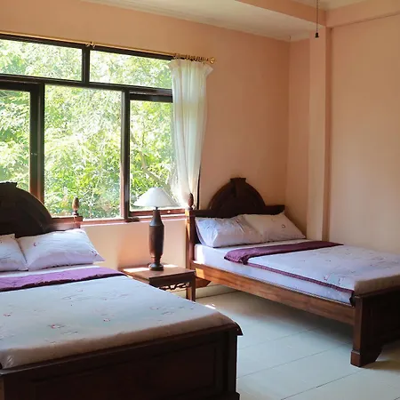 Guest house Citrus Tree - Arik