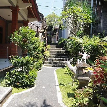 Guest house Citrus Tree - Arik