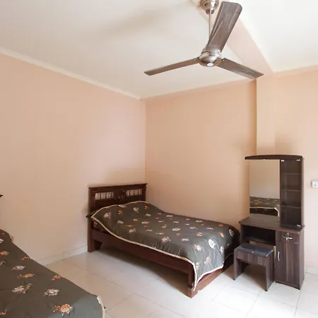 Citrus Tree - Arik Guest house