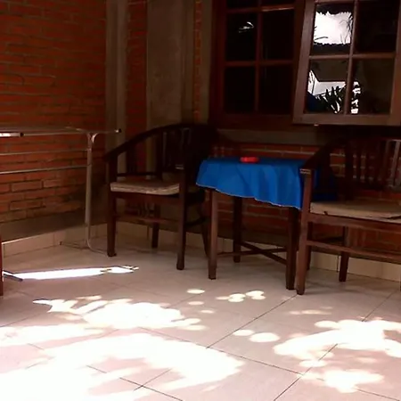 Citrus Tree - Arik Guest house