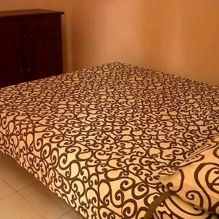 Citrus Tree - Arik Guest house *