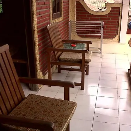 Citrus Tree - Arik Guest house