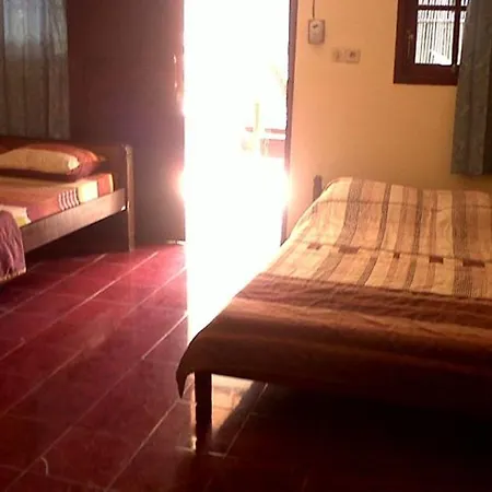 Citrus Tree - Arik * Ubud (Bali)