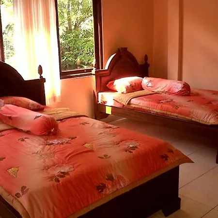 Guest house Citrus Tree - Arik *