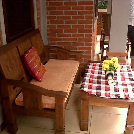 Guest house Citrus Tree - Arik