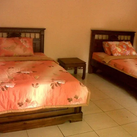 Citrus Tree - Arik Guest house