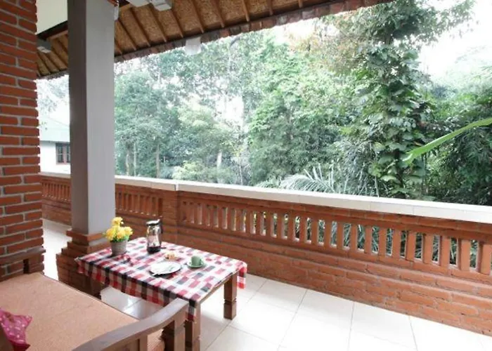 Citrus Tree - Arik *