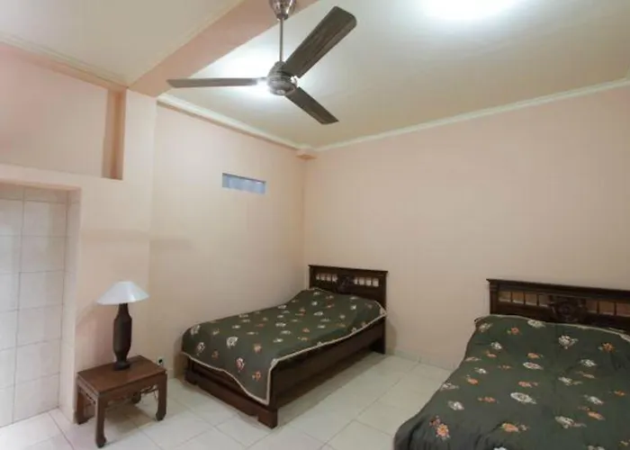 Citrus Tree - Arik Guest house *