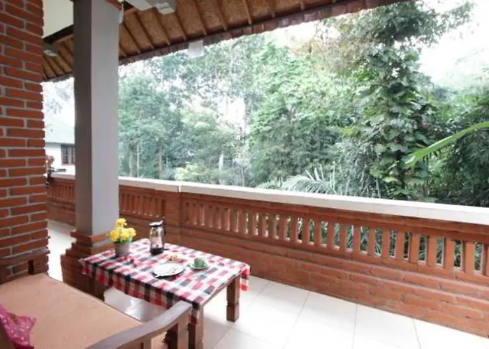 Citrus Tree - Arik Guest house