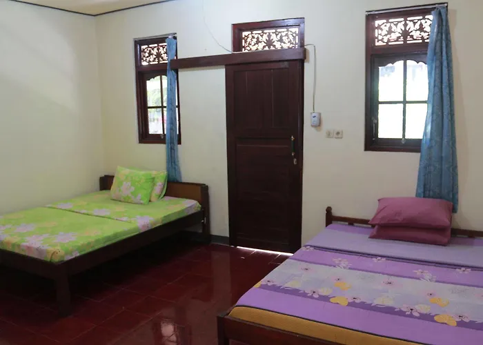 Citrus Tree - Arik Guest house *