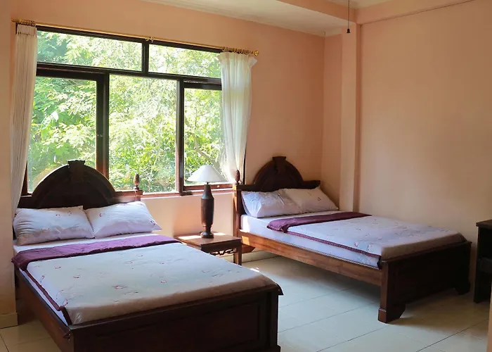 Guest house Citrus Tree - Arik