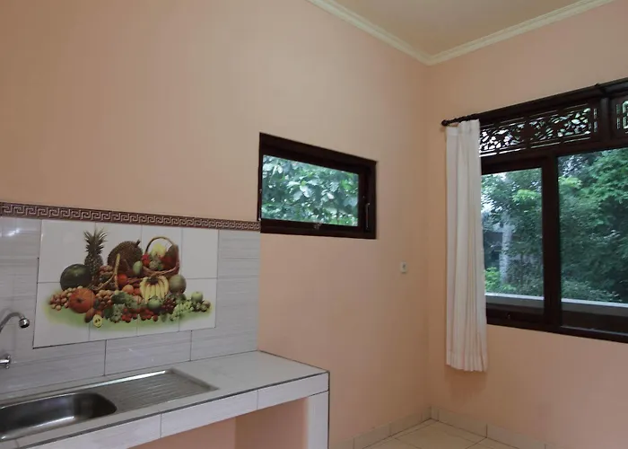 Citrus Tree - Arik Guest house *