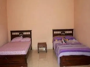 Citrus Tree - Arik Guest house Ubud (Bali)