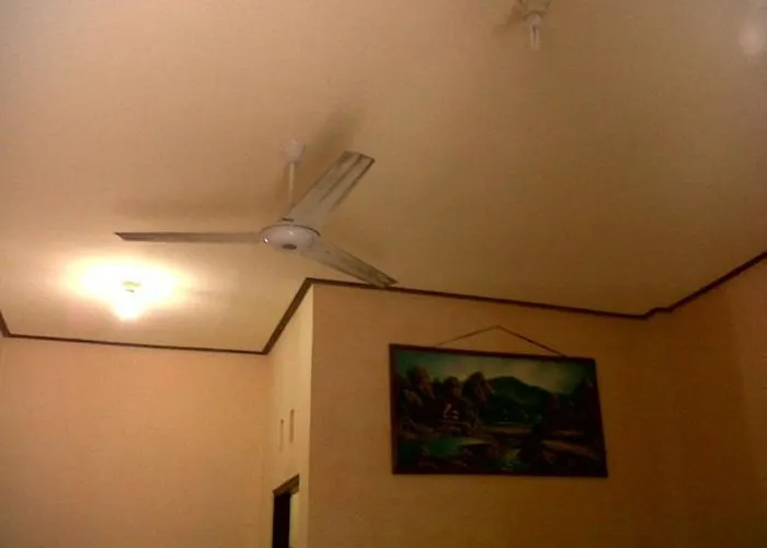 Citrus Tree - Arik Ubud (Bali)