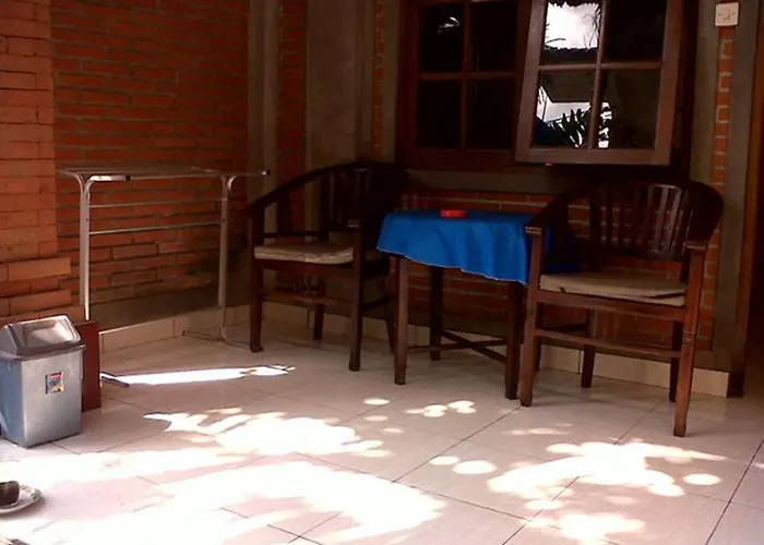 Citrus Tree - Arik Guest house