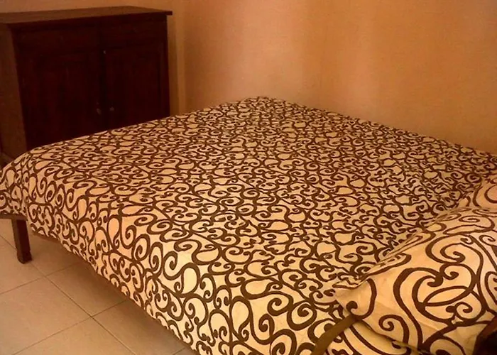 Citrus Tree - Arik Guest house *