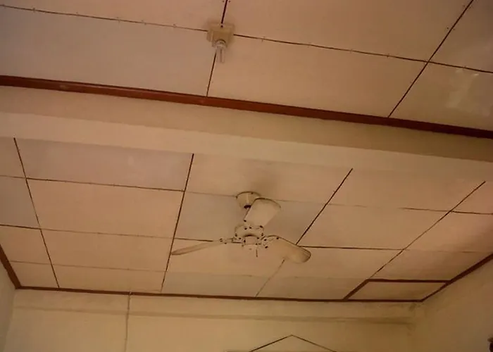 ゲストハウス Citrus Tree - Arik