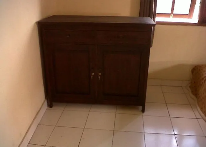 Citrus Tree - Arik ウブド