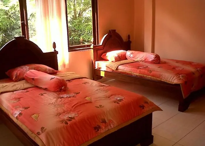 Guest house Citrus Tree - Arik *