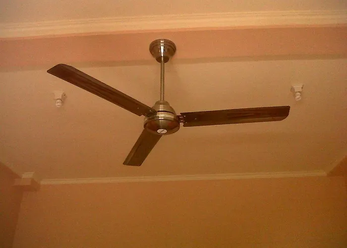 Citrus Tree - Arik Ubud (Bali)