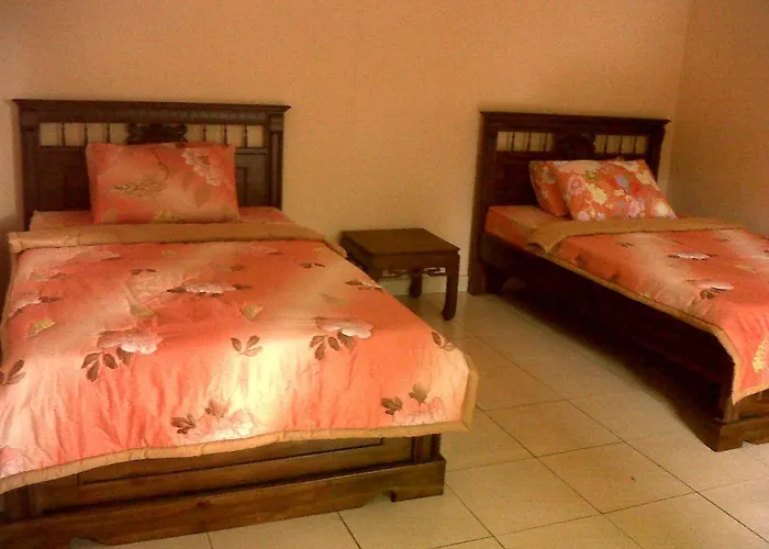 Citrus Tree - Arik Guest house