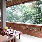 Citrus Tree - Arik Guest house