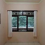 Citrus Tree - Arik Ubud