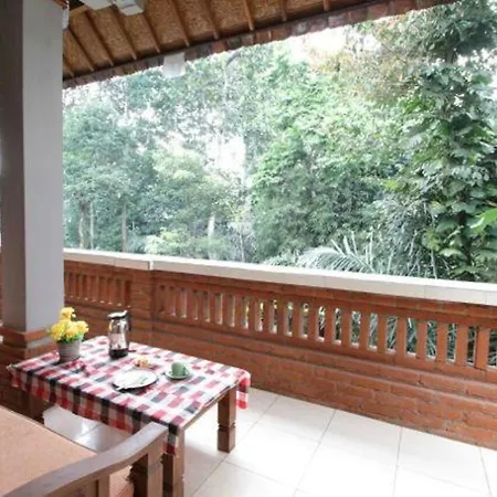 Citrus Tree - Arik *