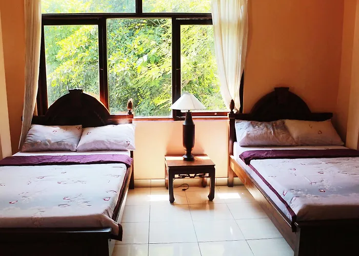 Citrus Tree - Arik Ubud