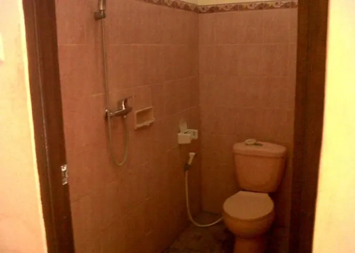 Citrus Tree - Arik *