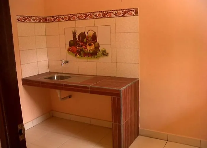 Citrus Tree - Arik *