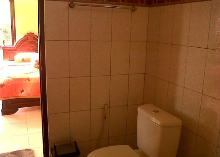 Citrus Tree - Arik Vendégház *