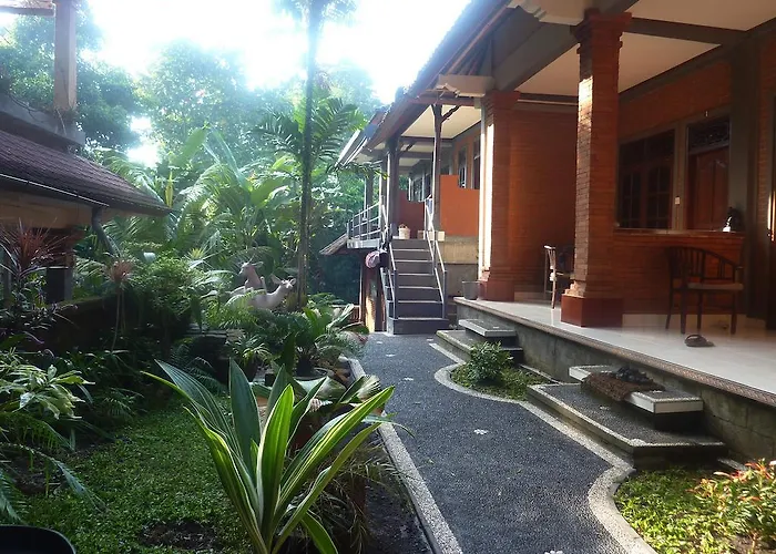 Citrus Tree - Arik * Ubud