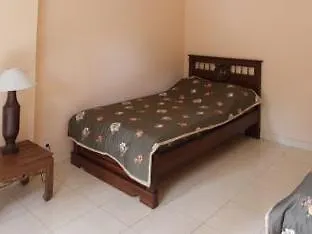 Citrus Tree - Arik Ubud