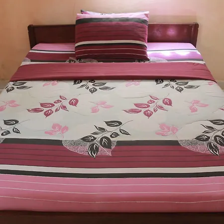 Citrus Tree - Arik Konukevi